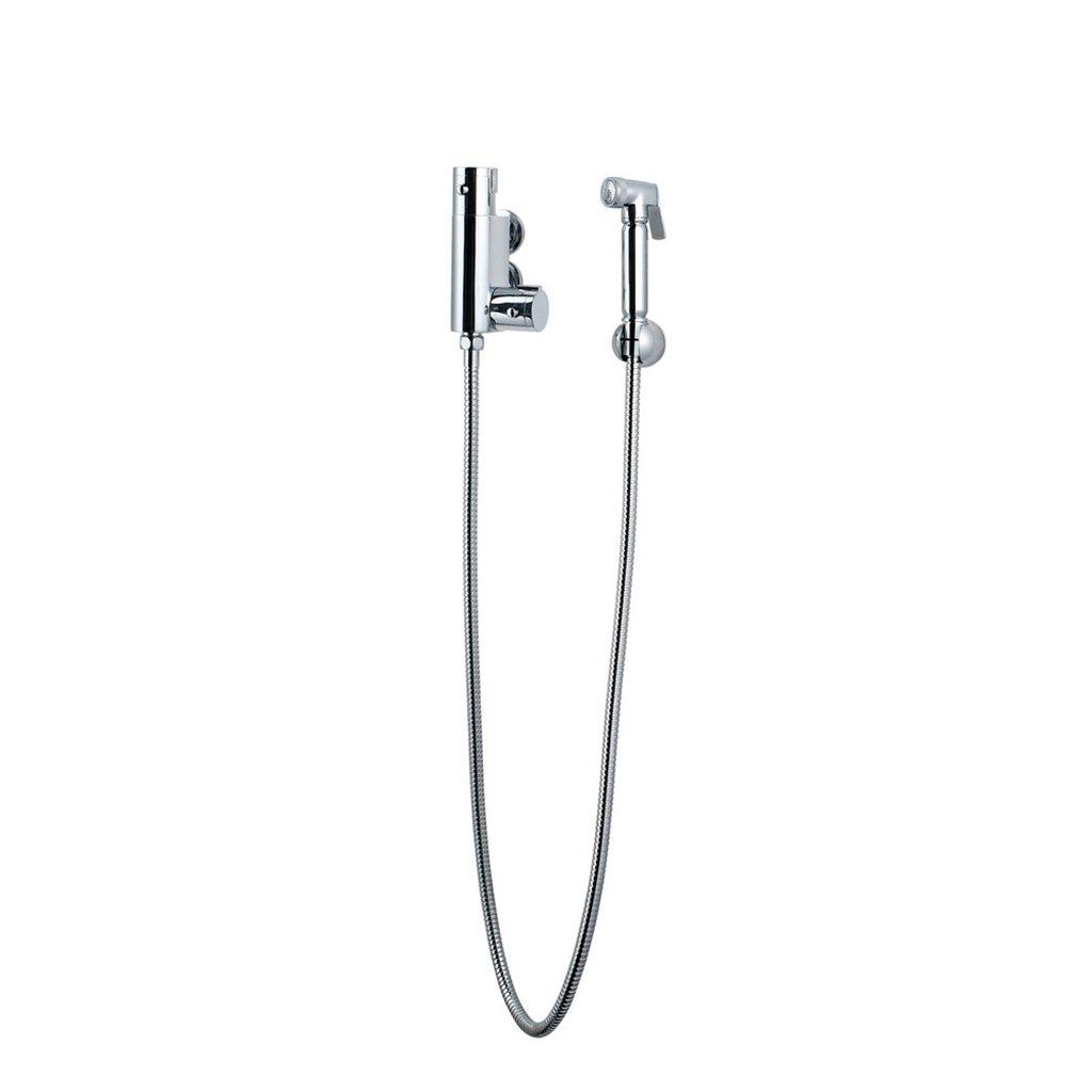 Shower Douche Kit with Thermostatic Mixing Valve and Brass Shower Head